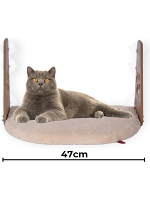 Empressco Pugalo Cam Yatağı Vantuzlu Kedi Cam Yatağı Vantuzlu Yatak Krem - Fiyatı, Yorumları