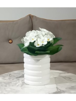 MWX Teknoloji Vazo Dahil, Vazoda Çiçek, Beyaz Yapay Çiçek, Dekoratif Oval Çizgili Vazo 9X6X16CM