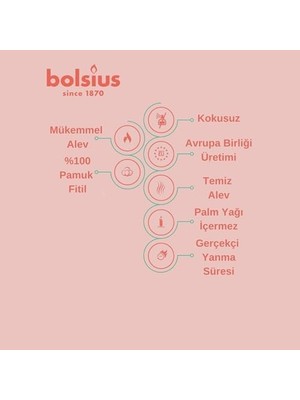 MWX Teknoloji Bolsius Yeşil Limon Renkli Konik Şamdan Yemek Mumu 7,5 Saat Yanma Süreli 24,5 cm (12 Adet - 1 Kutu)