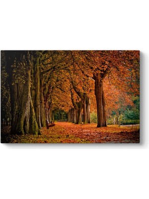 MWX Teknoloji Sonbahar Renkleri Tablosu 90 x 60