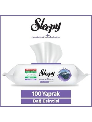 Sayemons Mountain Yüzey Temizlik Havlusu&mendili Dağ Esintisi 100 Yaprak