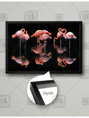 SML Tablo Siyah Gölde Flamingo Sürüsü Doğa Manzara Gece Dark Yatay Çerçeveli Kanvas Tablo