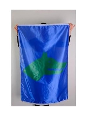 Sayemons Zc Bayrak Göktürk Bayrağı Raşel Dijital Baskı 100X150