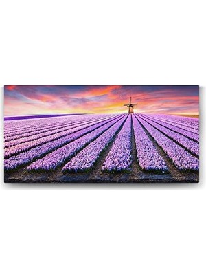 Sayemons Yel Değirmeni ve Lavanta Tarlası Tablosu - 120X60CM