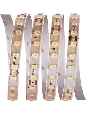 Cata CT-4540G 120 Çip Şerit LED Günışığı (5 Mt)
