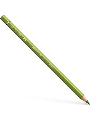 Erdo Ticaret 5 Renkli Yağlı Boya Kalemi Seti, 3.8 mm Uç Kalınlığı