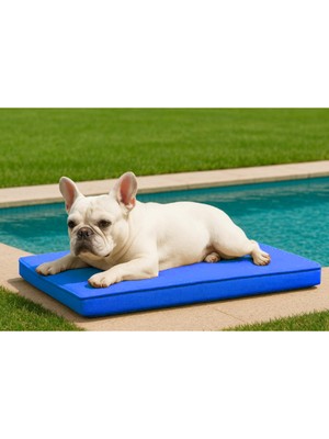 Empressco Su Geçirmez Dış Mekan Köpek Yatağı 49X67X7 Cm, Fermuarlı ve Konforlu