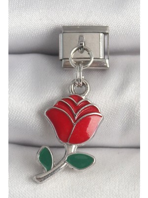 DS LLC Ietaks™ 316L Çelik Gümüş Renk Sallantı Kırmızı Gül Model Nomination Charm Dsllc-Ilkelgym