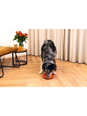 Ohbe Express Yavru Köpek Mama Yeme Oyuncağı, Silikon, Kırmızı, 19CM