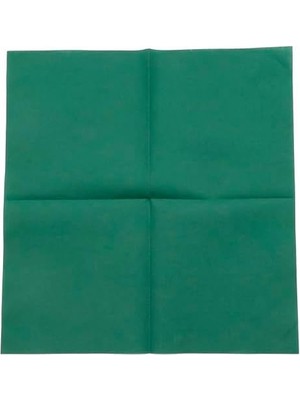 Ohbe Express Airlaid Peçete 40X40 cm (Açık Ölçü) – 20X20 cm Katlı, 50’li Paket, Kumaş Dokulu, Hijyenik, Premium Sofra Peçetesi (Yeşil)