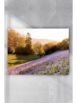 Ohbe Express (PSTER6592) Ilkbahar Manzara Poster 6 (60X90 Cm)