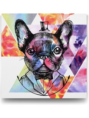 Ohbe Express French Bulldog - 70X70CM