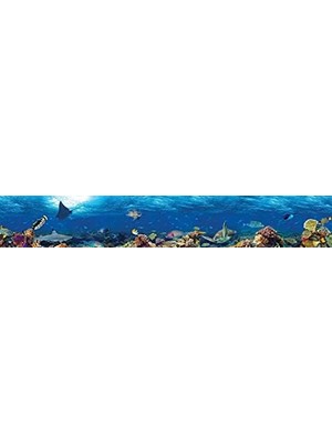 Ohbe Express Mutfak Tezgah Arası Folyo Kaplama Folyosu Denizaltı 60 x 400