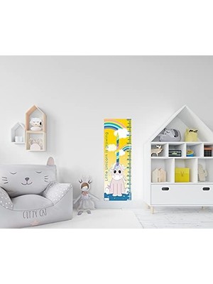 Ohbe Express Maker Growth Chart