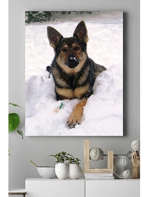 Ohbe Express (PSTER16776) Kurt Köpeği Hayvan Kanvas Tablo 21 x 30