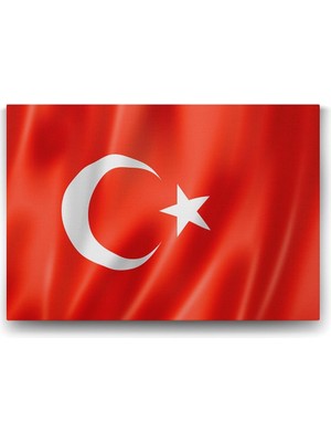 Ohbe Express Türk Bayrağı Tablosu - 100X70CM