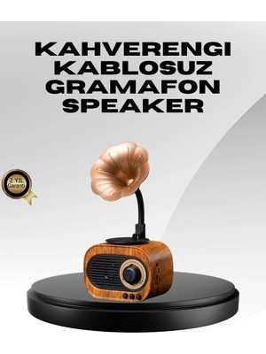 Genel Tedarik Kablosuz Retro Radyo Hoparlör 5W Güçlü Ses USB Hafıza Kart Destekli