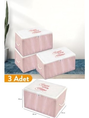 Ohbe Express 3 Adet - Mini Boy Baskı Detaylı Pembe Çizgili Hurç 30 x 22 x 18 cm