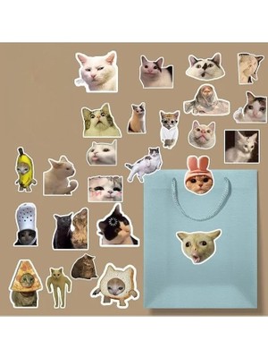 Ohbe Express Komik Kedi/meme Cat Sticker Paketi/bullet Journal Defter Çıkartma Ajanda Laptop Etiket