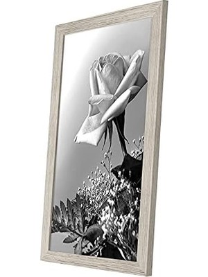 Ohbe Express 12X18 Poster Çerçevesi Driftwood - Cilalı Pleksiglaslı Kompozit Ahşap - Duvar Için Yatay ve Dikey Formatlar Dahil Asma Donanımı ile