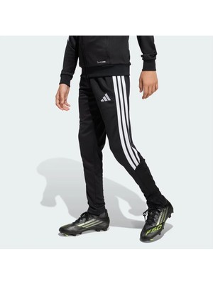 adidas TIRO26L Pntr Y