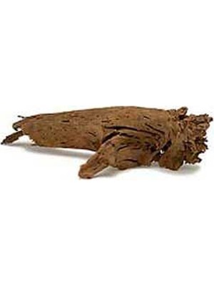 Mango Flzdgnkr Mangrove Akvaryum Kütüğü Sm (35 Ad.)