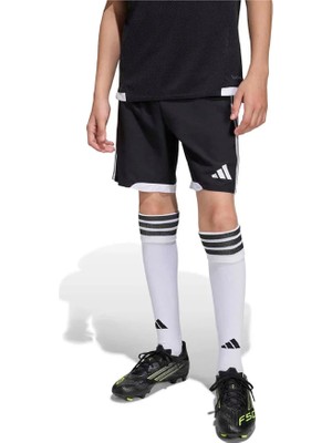 adidas TIRO26 C M Shoy