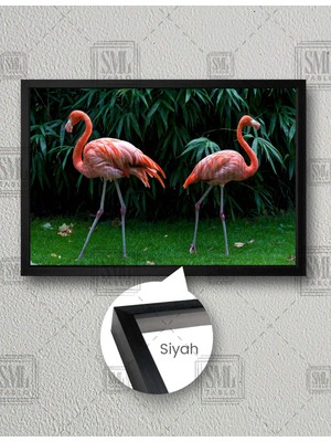 SML Tablo Pembe Flamingo Çifti Doğa Manzara Hayvan Yatay Çerçeveli Kanvas Tablo