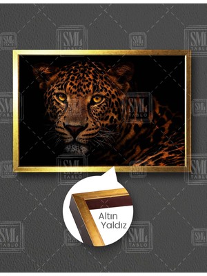 SML Tablo Vahşi Leopar Growlıng Leopard Afrika Aslan Yatay Çerçeveli Kanvas Tablo