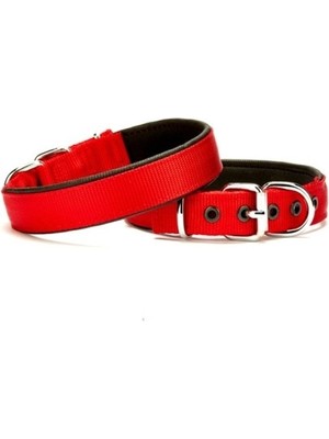 Colezium Softlu Köpek Boyun Tasması 1,5 cm x 30 cm Kırmızı