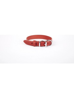 Colezium Deri El Yapımı Köpek Boyun Tasması 2X30-35 cm Kırmızı