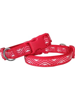 Colezium Daa Desenli Dokuma Köpek Boyun Tasması 2 cm x 31-47 cm Kırmızı