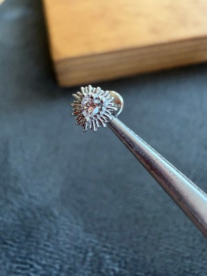 Aida Jewelss %100 316 L Cerrahi Çelik Kalpli Zarif Helix Tragus Kıkırdak Piercingi