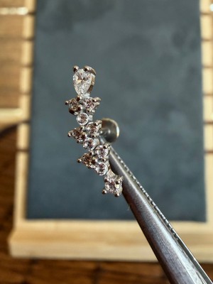 Aida Jewelss %100 316 L Cerrahi Çelik Pırlanta Modeli Zarif Labret Piercing