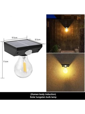 Colezium Fithome YT-819 1 Watt Suya Dalı Hareket Sensörlü Solar LED Lamba