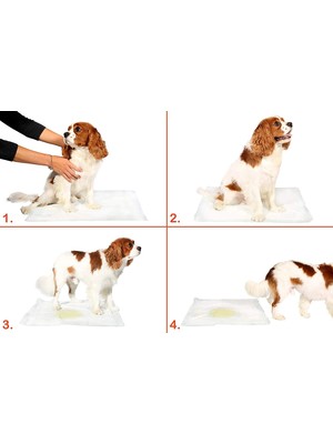 Colezium Yıkanabilir Köpek Çiş Pedi - 90 x 60 cm 5li Paket