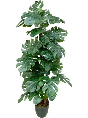 Cennet Home Monstera Deve Tabanı Palmiye Ağacı Dolgun Dev Yapraklı Yapay Ağaç 170 cm 5 Gövde 30 Yaprak