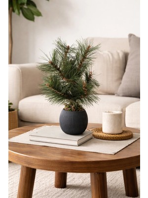 Cennet Home Masaüstü Dekoratif Mini Nordic Çam Ağacı 37 cm