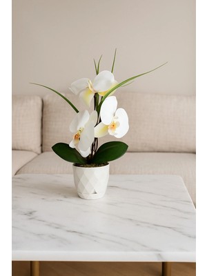 Cennet Home 3 Kandilli Beyaz Islak Orkide Elegans Masaüstü Yapay Aranjman 30 cm