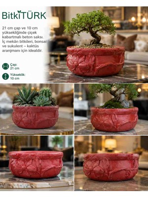 🌺 Bitkitürk Kabartma Desenli El Yapımı Beton Saksı – Kırmızı Dekoratif Bonsai ve Sukulent Saksısı 21X10 cm