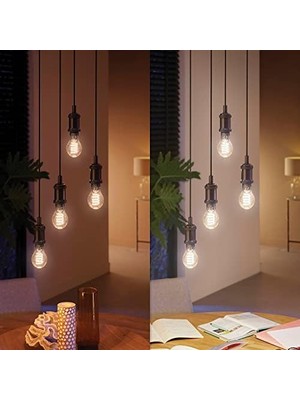 Hue E27 Filament A60 550 Lm, Sıcak Beyaz Işık, Kısılabilir, Uygulama Üzerinden Kontrol Edilebilir, Amazon Alexa (Echo, Echo Dot) ile Uyumlu