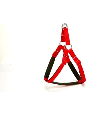 Colezium Köpek Bel Tasması 70CM Large Kırmızı