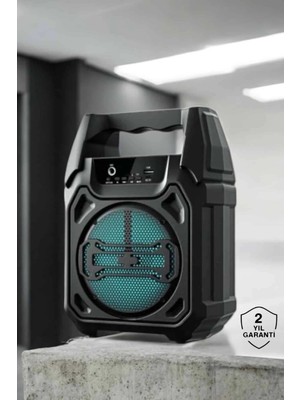 Genel Tedarik Kablosuz 6.5 Inç Tws Bluetooth Hoparlör