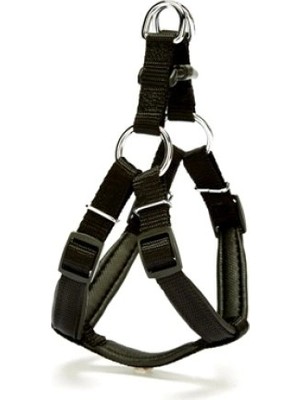 Colezium Köpek Göğüs Tasması 45CM Small