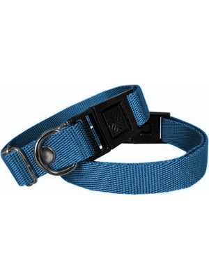 Colezium Köpek Tasması Dokuma 2 cm - Min: 30 cm - Max: 50 cm Mi