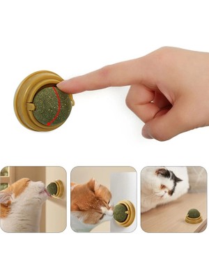 Colezium Duvara Yapışan Dönen Kedi Nanesi Cat Oyun Topu Doğal Kedi Oyuncağı