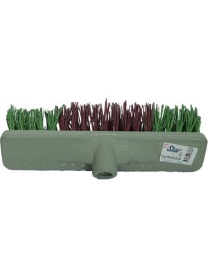 Colezium Sert Çalı Fırçası Dış Mekan Bahçe Yer Fırçası Karışık Renk 30 cm