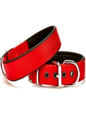 Colezium Köpek Tasması Softlu 3 cm x 65 cm Kırmızı