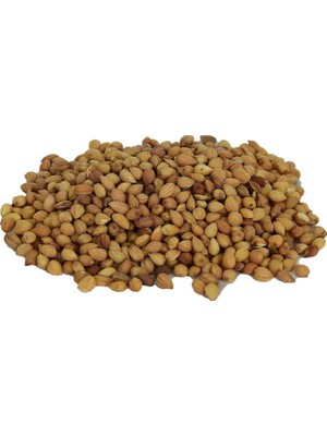 Colezium Mahlep Doğal Tane 100 gr Paket