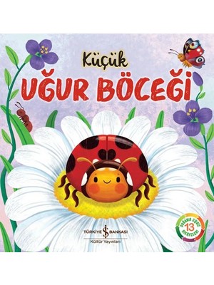 Uravas Store Küçük Uğur Böceği - Doğanın Eşsiz Hikayeleri 13
